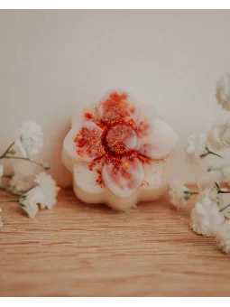 Fondant artisanal à l'abricot