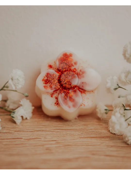 Fondant artisanal à l'abricot