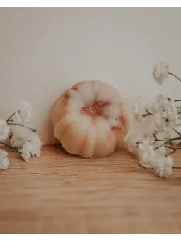 Fondant artisanale au choco noisette