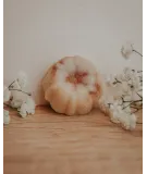 Fondant artisanale au choco noisette