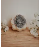 Fondant artisanal gâteau forêt noire