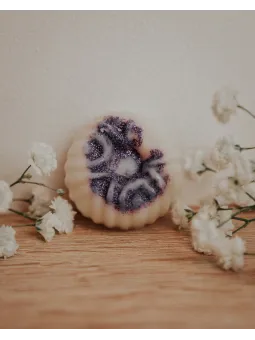 Fondant artisanal Prune mûre