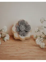 Fondant artisanal à l'edelweis