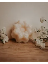 Fondant artisanal à la pastèque
