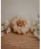 Fondant artisanal à la pomme cannelle