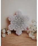 Flocon Fleur de Noël