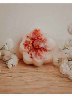 Fondant artisanal à l'abricot