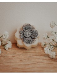 Fondant artisanal à l'edelweis