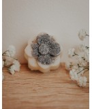 Fondant artisanal à l'edelweis